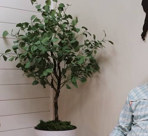 Man sitting on a couch in a interview
